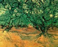 Olivos Vincent van Gogh
